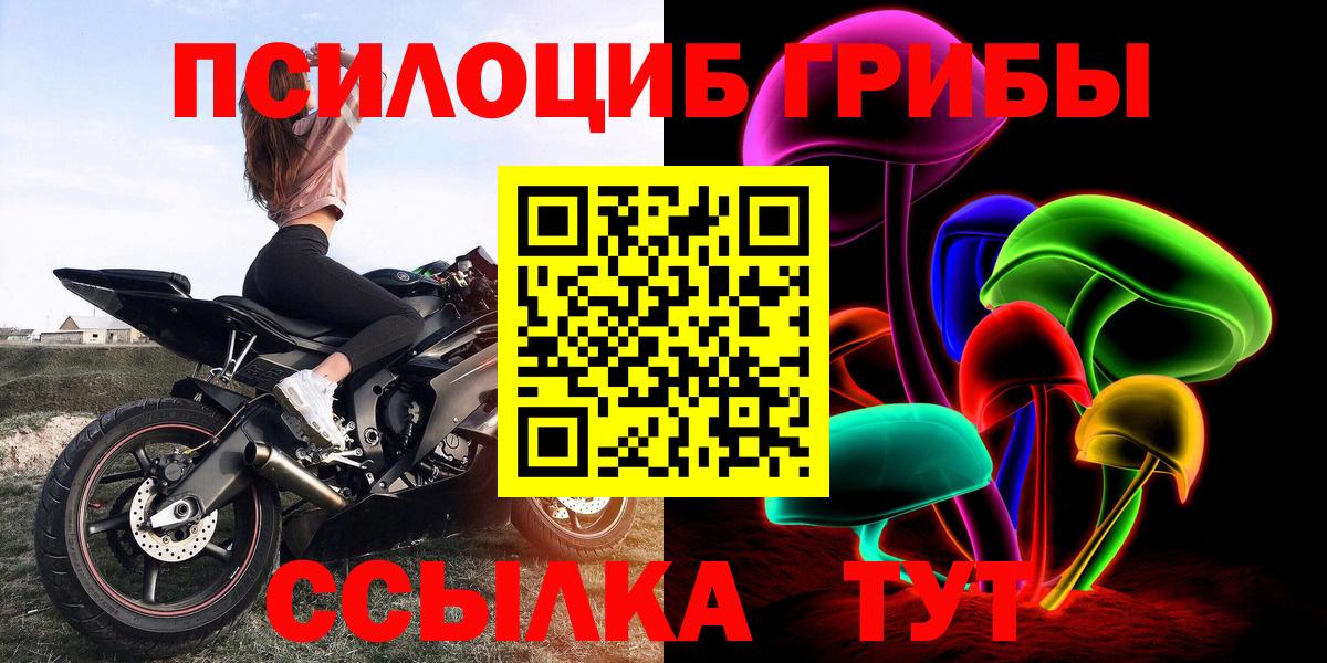 Псилоцибиновые грибы Psilocybine cubensis Орёл